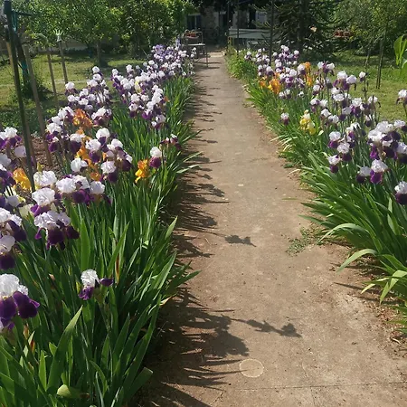 L'echappee Belle Konukevi Capdenac-Gare