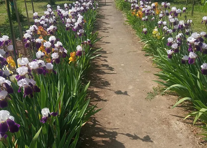 L'echappee Belle 게스트하우스 카브데낙가레